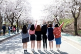국제대학교 은혜로 벚꽃놀이~♥