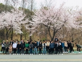 2019학년도 花見(하나미) 축제