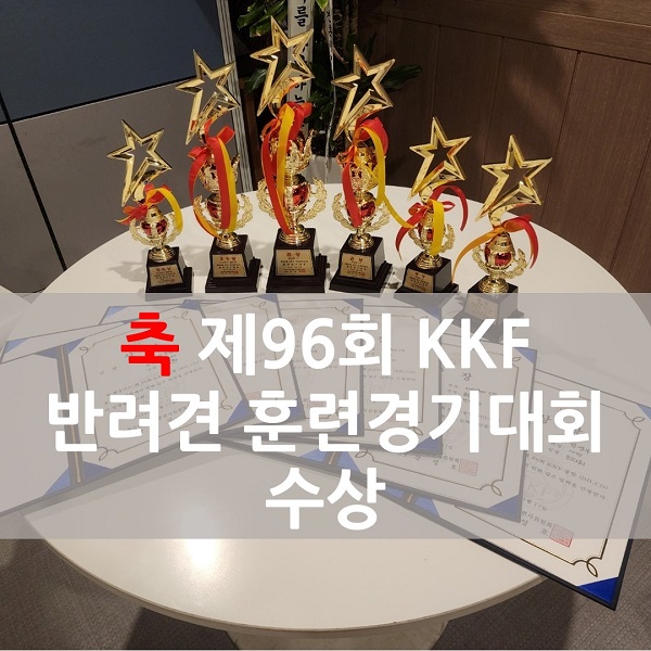 96회 KKF 반려견 경기대회 수상