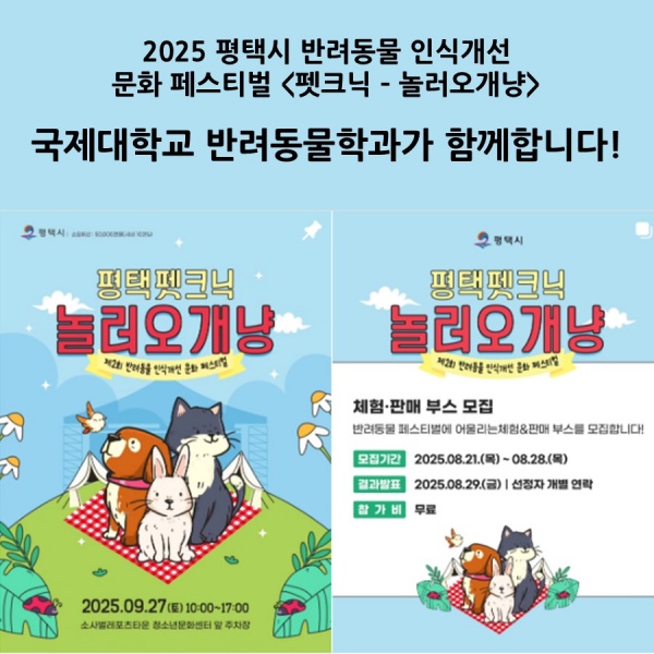 반려동물학과와 함께하는 놀러오개냥