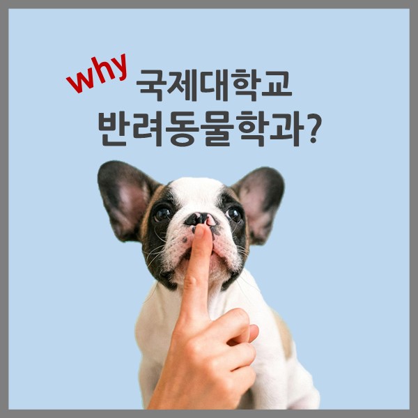 왜 국제대 반려동물학과인가?