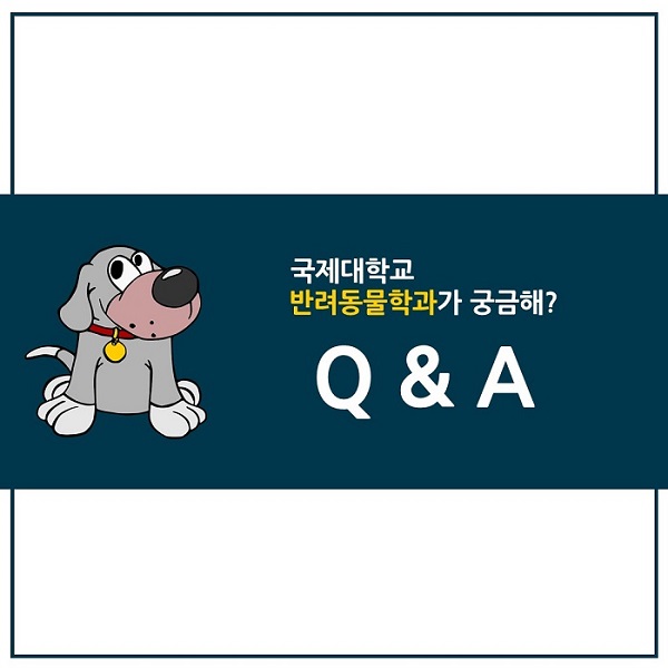 국제대 반려동물학과 Q&A