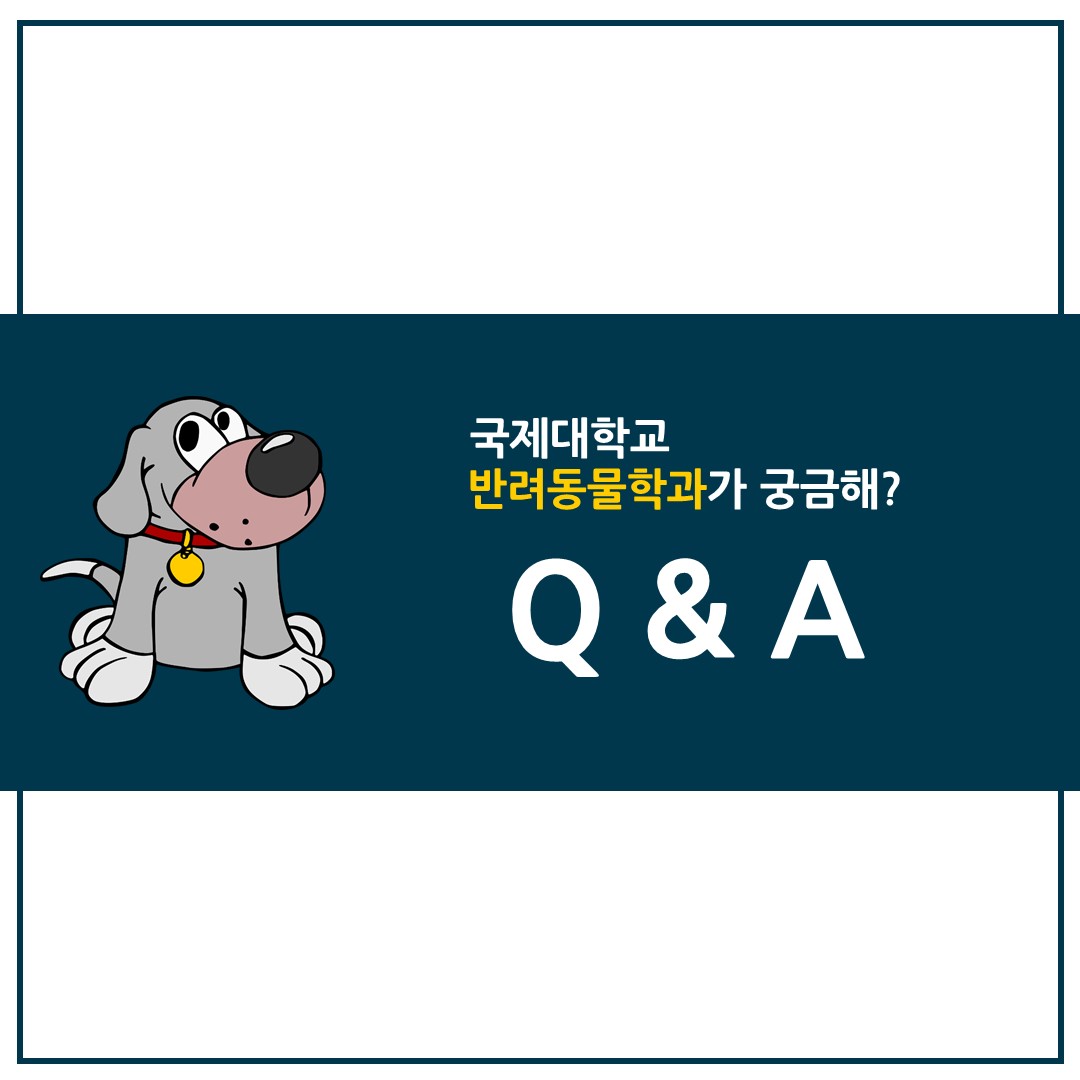 반려동물학과 신입생이 궁금해하는 5가지 Q & A